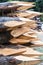Photograph of some pointed wooden logs stacked and prepared for farm closings.The photo is in vertical format