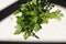 photograph of sprig of parsley for seasoning