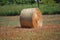 photograph of straw bale in the field with its natural daylight