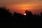 Photograph of a sunrise with a dazzling half-sun entering the sky out of a silhouette hillside and a silhouette bush of wild trees