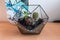 Photograph of terrarium with cactus and succulents.