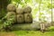 Photograph of three small statues of Buddha praying on a log