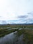 Photograph water clouds pasture cows mountains hills grass