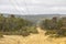 Photograph of wooden powerline poles and wires