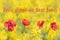 Photograph with yellow blurred background and four poppies emulating the flag of Catalonia, especially for St. George`s Day, the