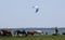 Photographed in the summer of 2018 on the lake Chebakul. Paragliders fly over the lake, a herd of horses, sheep and cows graze on