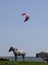 Photographed in the summer of 2018 on the lake Chebakul. Paragliders fly over the lake, a herd of horses, sheep and cows graze on