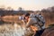 Photographer with camera, telephoto lens and backpack taking picture at lake during sunset