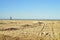 Photographer with camera on tripod on beach morning Baja, Mexico