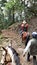 A photographer horseback rides to the Monarch Butterfly Biosphere Reserve of Santuario El Capulin