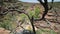 Photographer at Kalbarri