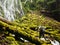 Photographer in Lush Waterfall