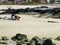 A photographer and a marine iguana