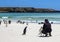 Photographer with penguins at Falkland Islands-3