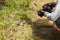 Photographer photographs turtle in Kirstenbosch, Cape Town