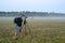 Photographer& x27;s boyfriend takes a photo of landscape in misty morning. Fog in meadow