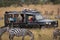 Photographer in safari truck surrounded by zebra