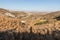 Photographer shadow with Small mountains, valley and typical  vegetation in Milos