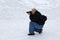 Photographer Shooting in Snow