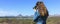 A Photographer Shoots Tetakawi Peak Rising Above San Carlos, the