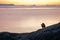 Photographer silhouette shooting sea outdoors at sunset background in arctic city of Ilulissat Greenland