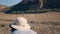 Photographer takes pictures on the camera of wild zebras in the African Reserve