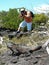 A photographer taking a photo of a marine iguana