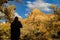 Photographer taking picture of the autumn landscape of Zion National Park