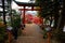 Photographer at Torii gate of Chureito