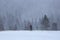 Photographer tourist stays on the lawn covered with snow. Magical winter forests. Snowy background. Nature scenery