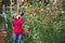 Photographer travel photograph in the rose garden. Travel relax. Multicolored roses beautiful, background blur