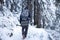 Photographer traveler hikes in snowy winter forest. Hiker in winter nature. Leisure activity on wild.