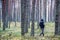 Photographer walking in forest