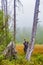 Photographer in a wetland meadow