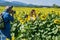 Photographer, Woman and Sunflowers