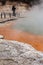 Photographers at Champagne pool