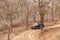 Photographers eagerly waiting for tiger sighting in Pench Tiger reserve