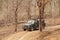 Photographers eagerly waiting for tiger sighting in Pench Tiger reserve