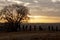 Photographers photographing a sunset