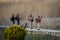 Photographers on Prespa Lake photographing birds with telephoto lenses