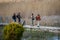 Photographers on Prespa Lake photographing birds with telephoto lenses