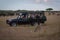 Photographers in truck parked behind sitting cheetah