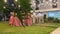 Photographers working on wedding rituals on the lawn obscured by the Tree Philodendron plant.