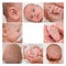 Photographic collage of newborn baby body parts
