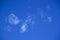 Photographic documentation of white clouds in blue sky