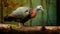 Photographic Rendering Of A Turkey On Wood Branch With Green Background