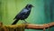 Photographic Still Life: Black Crow Perched On Wood Branch