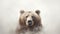 Photographically Detailed Double Exposure Portrait Of A Brown Bear