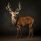 Photographically Detailed Portrait Of A Deer In A Dark Studio