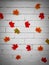 Photography abstract composition bright orange autumn maple leaves cut from paper on a white brick wall background